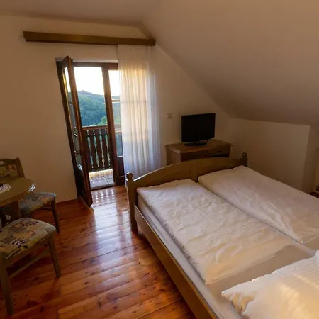 Villa Turisticna Kmetija Pungracic Zavrc Exterior foto
